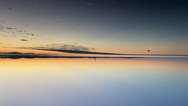 Serene lake at night